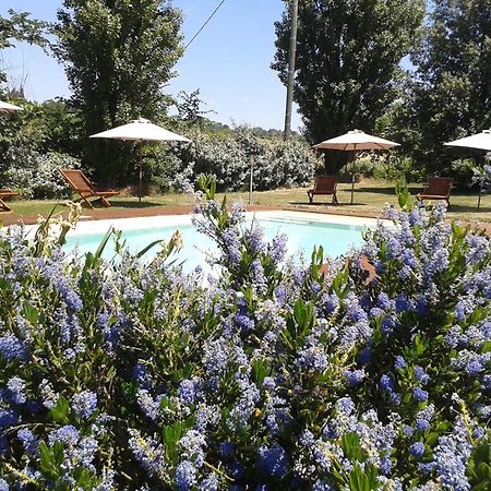B&B La Ferme De Loubens Kültér fotó