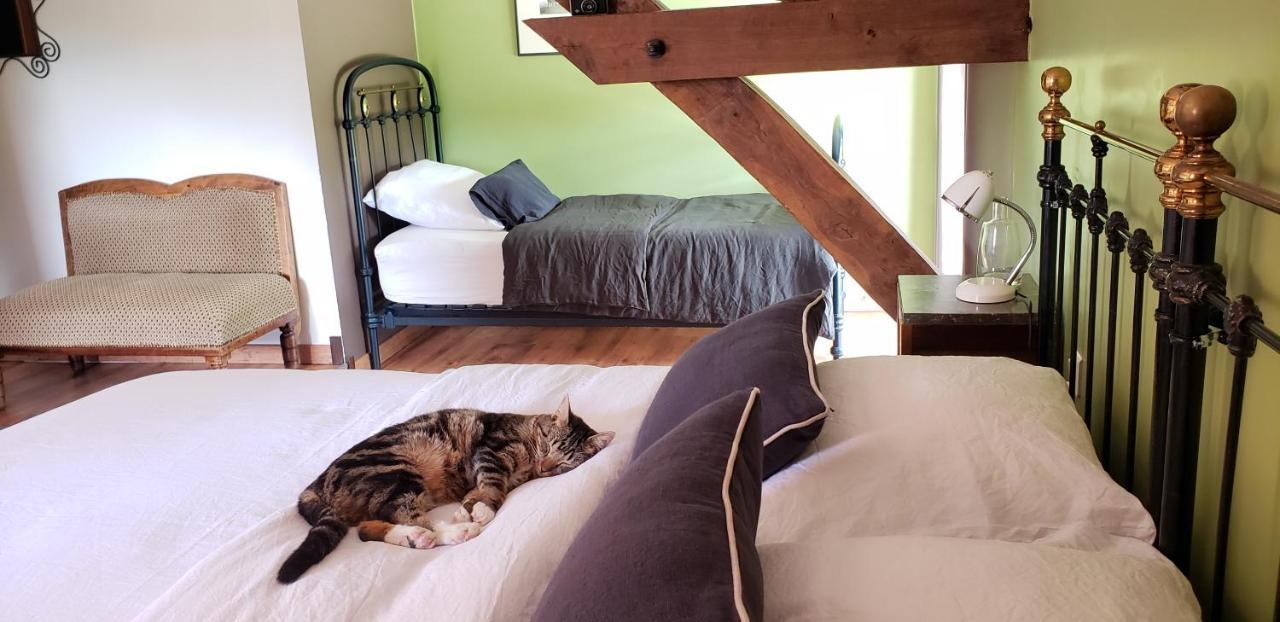 B&B La Ferme De Loubens Kültér fotó