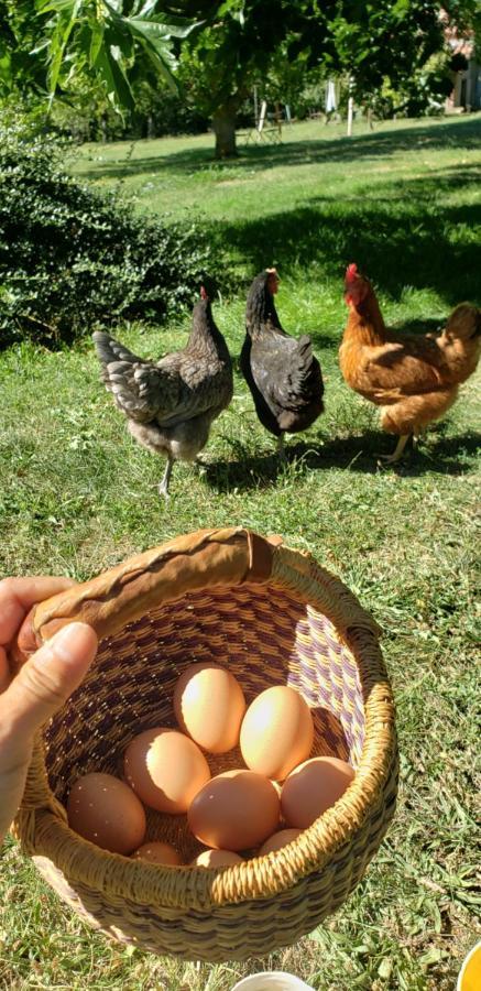 B&B La Ferme De Loubens Kültér fotó