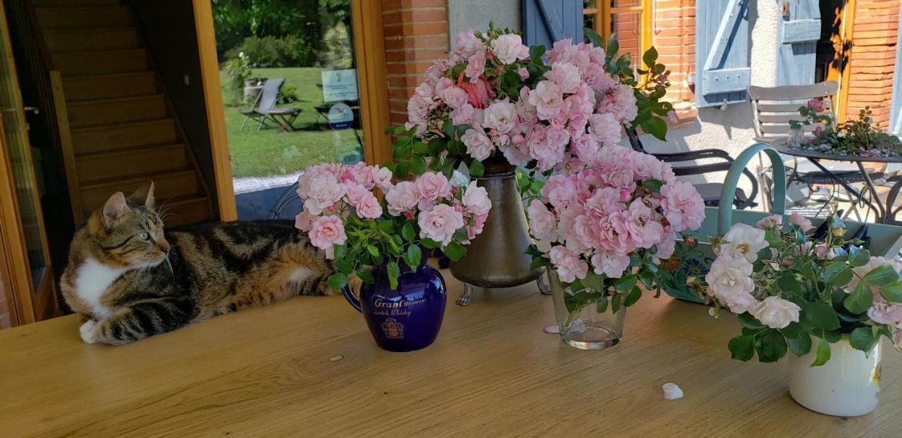B&B La Ferme De Loubens Kültér fotó